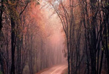 四川冠城队蓄势待发，全队意气风发备战