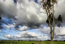 鹈鹕对决凯尔特人争夺胜利晋级