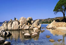 雄狮队新晋球员表现出色刷新了人们的眼球